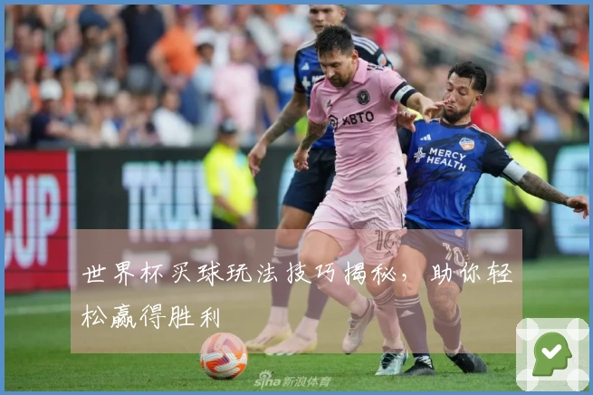世界杯买球玩法技巧揭秘，助你轻松赢得胜利