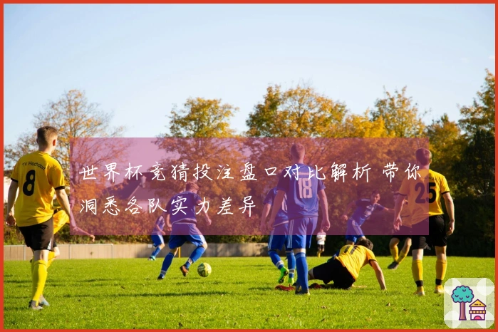 世界杯竞猜投注盘口对比解析 带你洞悉各队实力差异