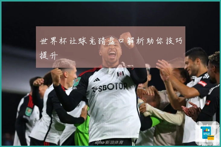 世界杯让球竞猜盘口解析助你技巧提升