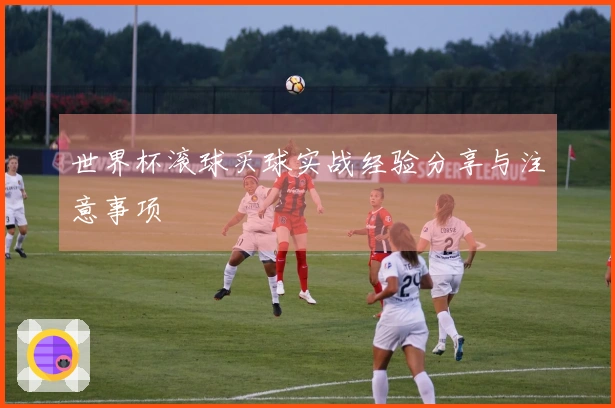世界杯滚球买球实战经验分享与注意事项