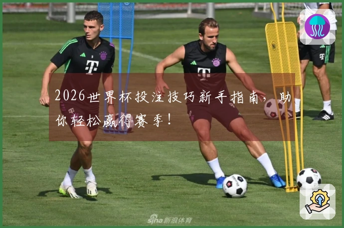 2026世界杯投注技巧新手指南，助你轻松赢得赛季！