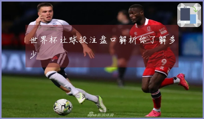 世界杯让球投注盘口解析你了解多少