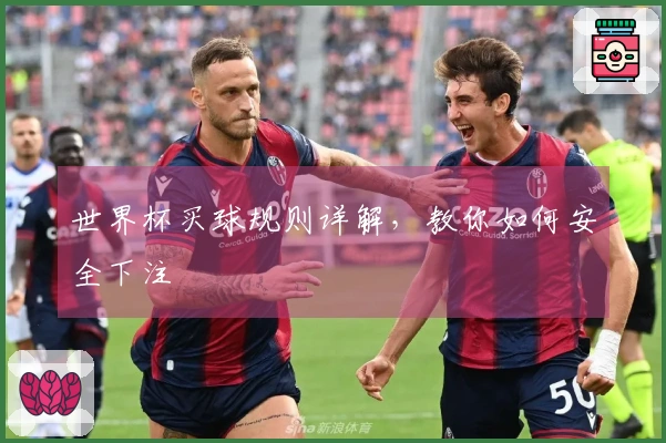 世界杯买球规则详解，教你如何安全下注