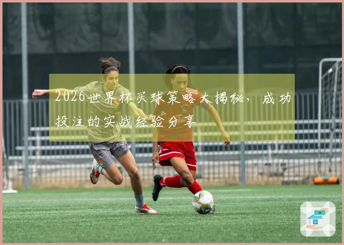 2026世界杯买球策略大揭秘，成功投注的实战经验分享