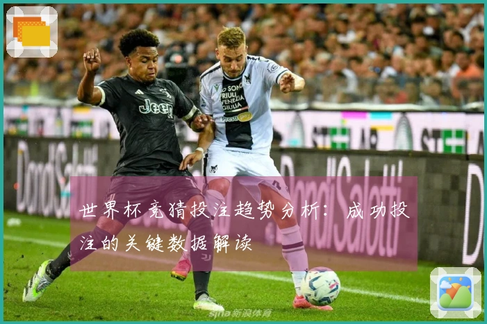 世界杯竞猜投注趋势分析：成功投注的关键数据解读