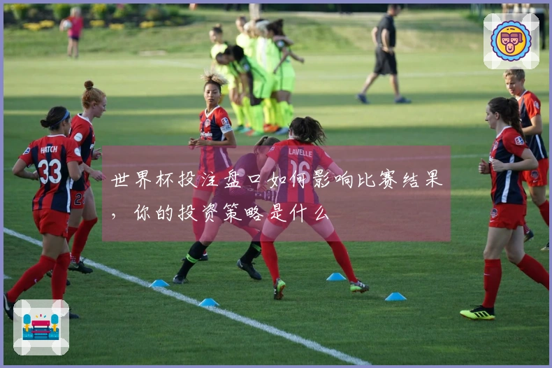 世界杯投注盘口如何影响比赛结果，你的投资策略是什么