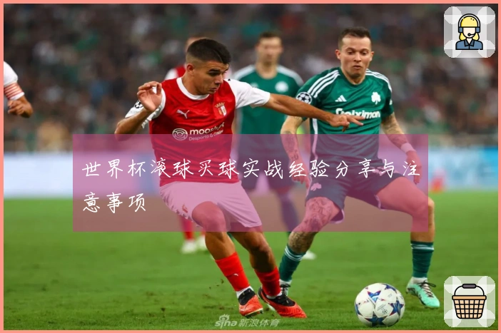 世界杯滚球买球实战经验分享与注意事项