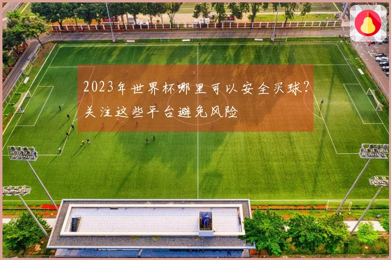 2023年世界杯哪里可以安全买球？关注这些平台避免风险