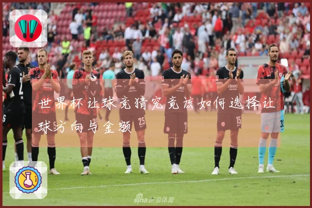 世界杯让球竞猜究竟该如何选择让球方向与金额