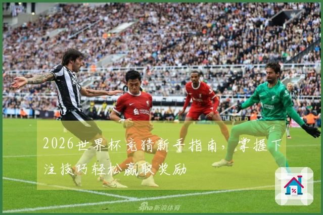 2026世界杯竞猜新手指南，掌握下注技巧轻松赢取奖励